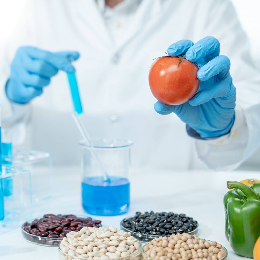 a lab assistant testing a tomato